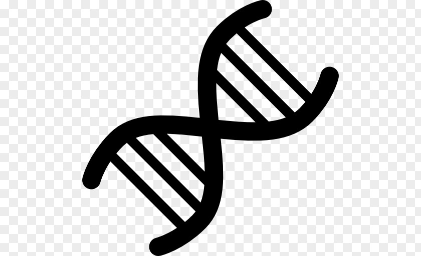 Vector DNA Genetics PNG