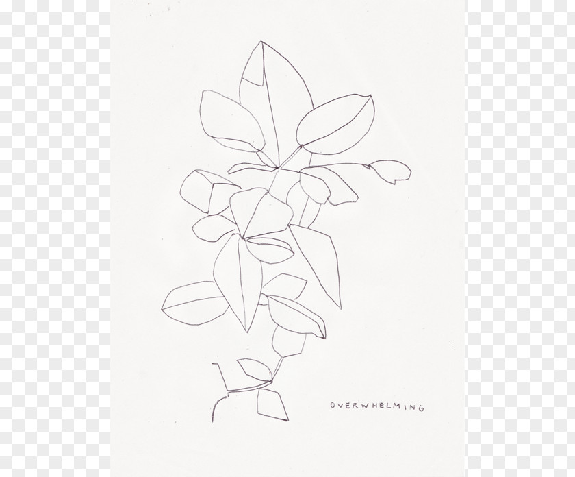 Drawing Ingredients Petal Visual Arts The Sketch PNG