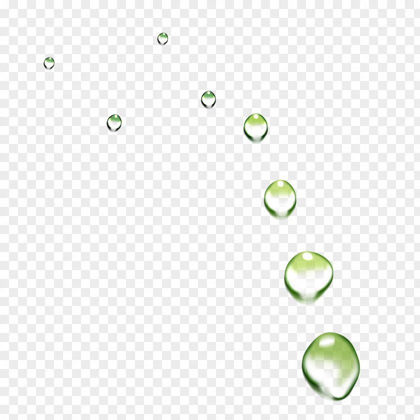 Tree Drops Of Water Drop Green PNG