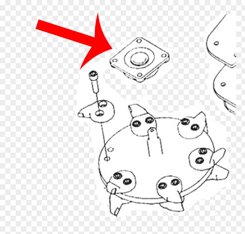 Champion Plug 104 Mammal Clip Art Sketch Illustration Stump Grinder PNG
