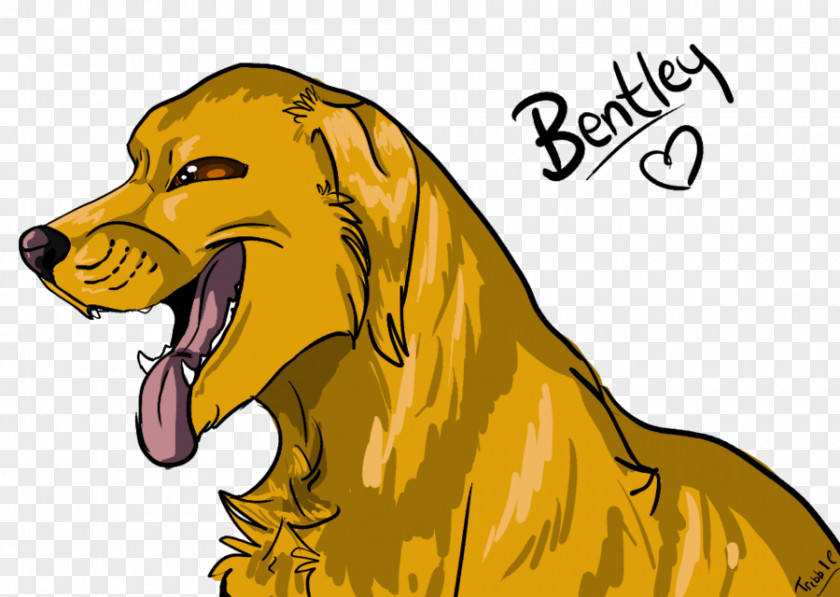 Dog Breed Illustration Clip Art Snout PNG
