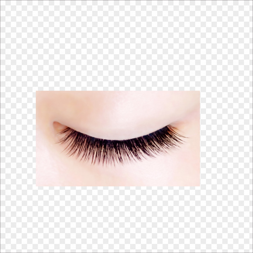 Eye Eyelash Extensions Beauty Shadow Artificial Hair Integrations PNG