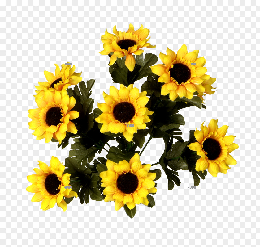 Flower Common Sunflower Floral Design Cut Flowers Bouquet PNG