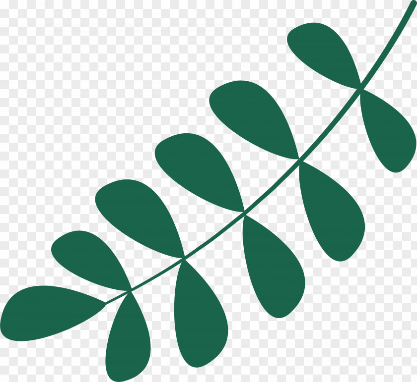 Leaf PNG