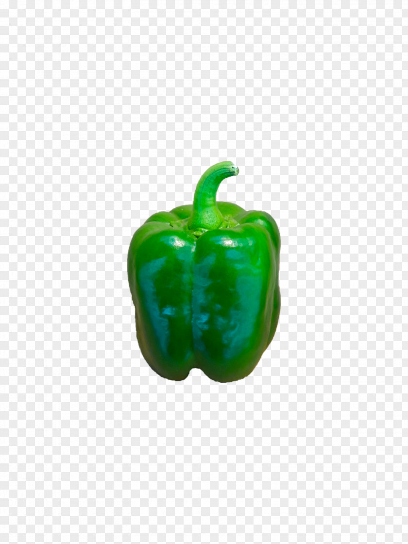 Bell Pepper Peppers Paprika Green PNG
