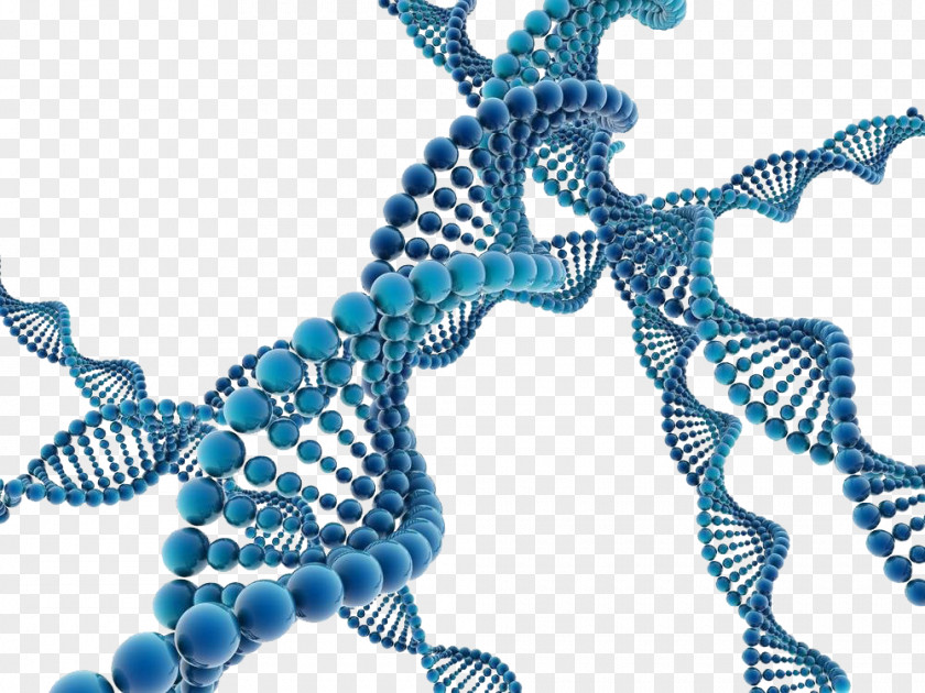 Gene Free Downloads Stock Photography DNA Illustration PNG