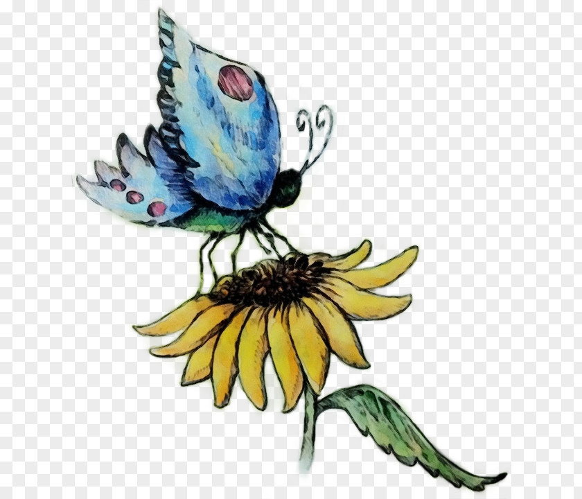 Plant Flower Butterfly Insect Moths And Butterflies Pollinator PNG
