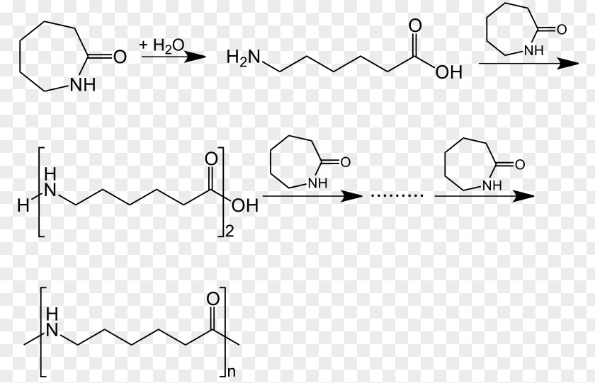 Caprolactam Polyamide Nylon 6 Polymerization PNG