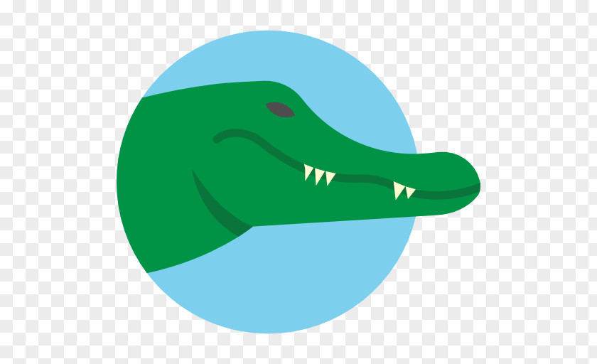 Crocodile Clip Art PNG
