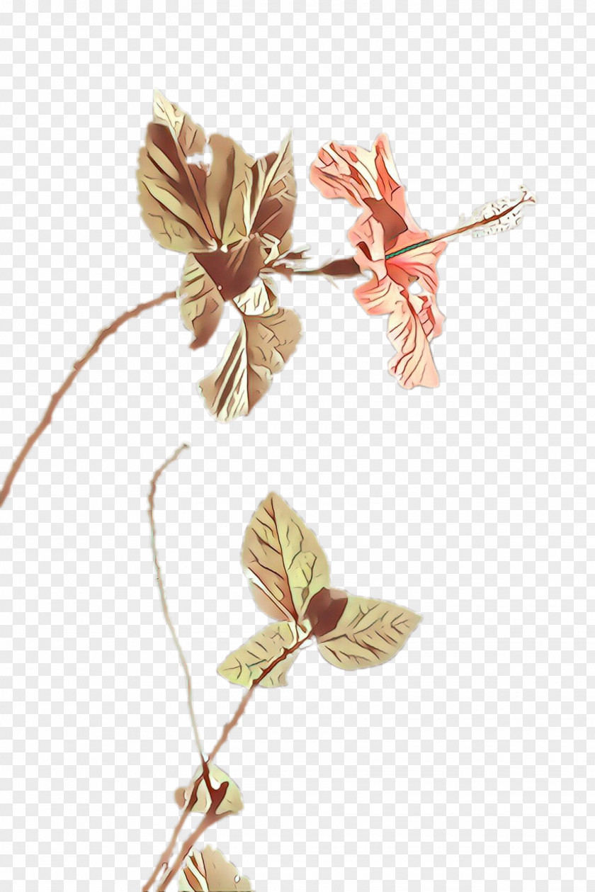 Plant Stem Pedicel Flower Leaf Twig Branch PNG