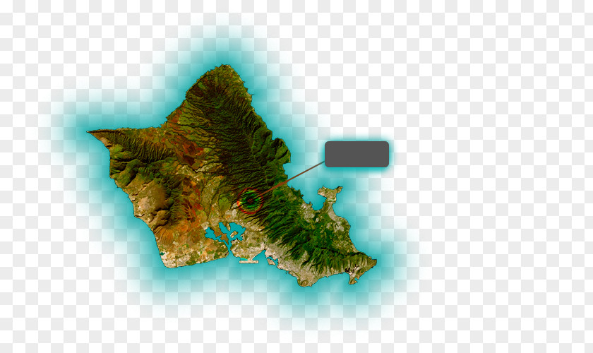 Stairway To Heaven Water Quality On The Island Of Oahu, Hawaii, 1999-2001 Organism Map PNG