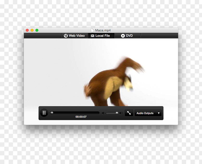 Technology Video Mammal Brand Multimedia PNG