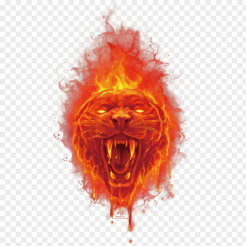 Vector Fire Tiger Head Euclidean PNG