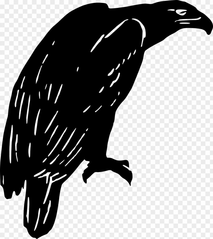 Eagle Clip Art PNG