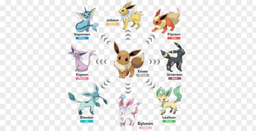 Evolutionary Line Of Eevee Pokémon X And Y Sun Moon Evolution PNG