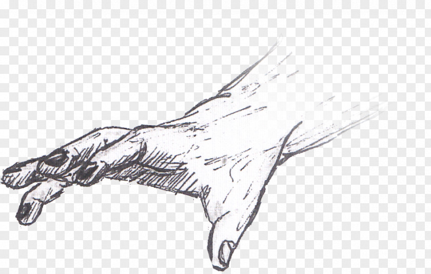 Hand Drawing Hands DeviantArt Sketch PNG
