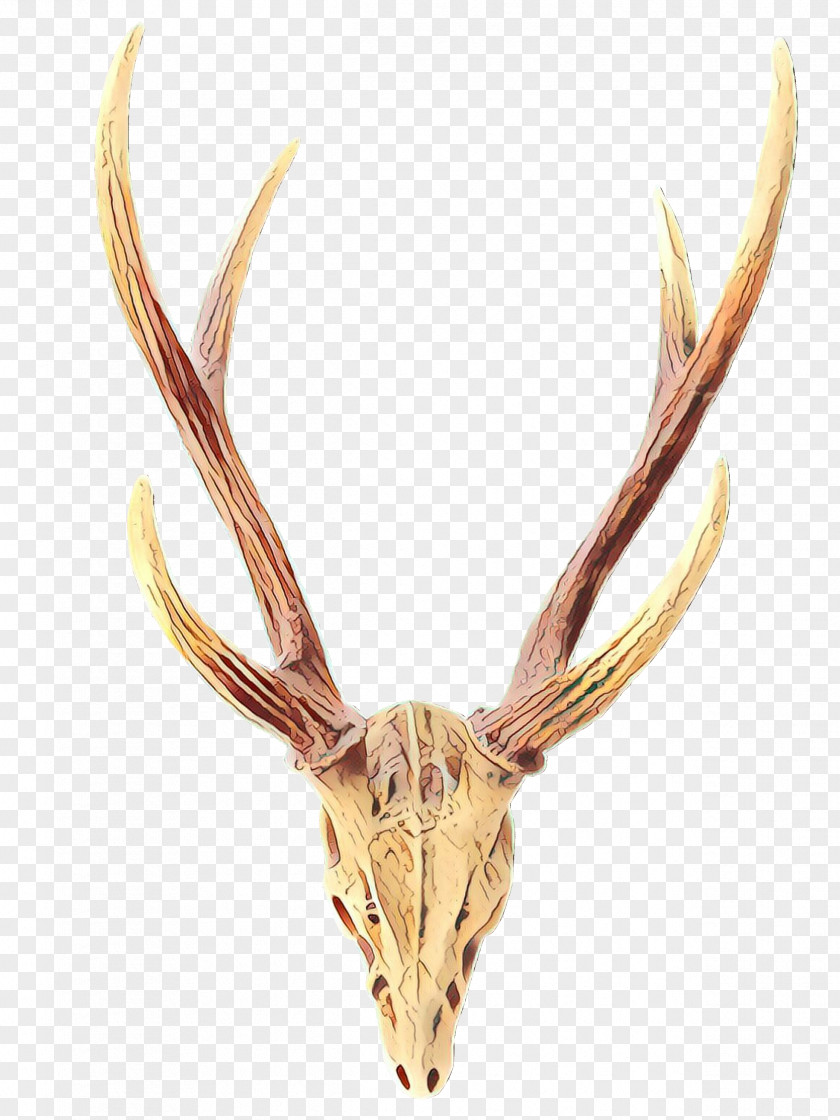 Horn Antler Head Deer Elk PNG