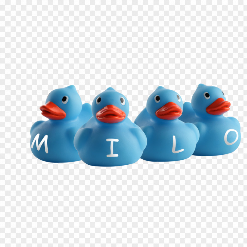Milo Rubber Duck Anatidae .nl Blue PNG