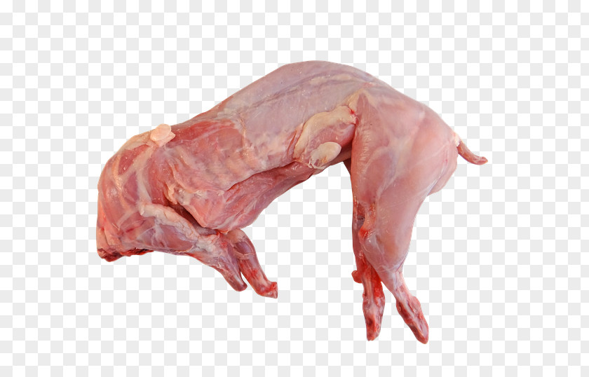 Rabbit European Game Meat PNG