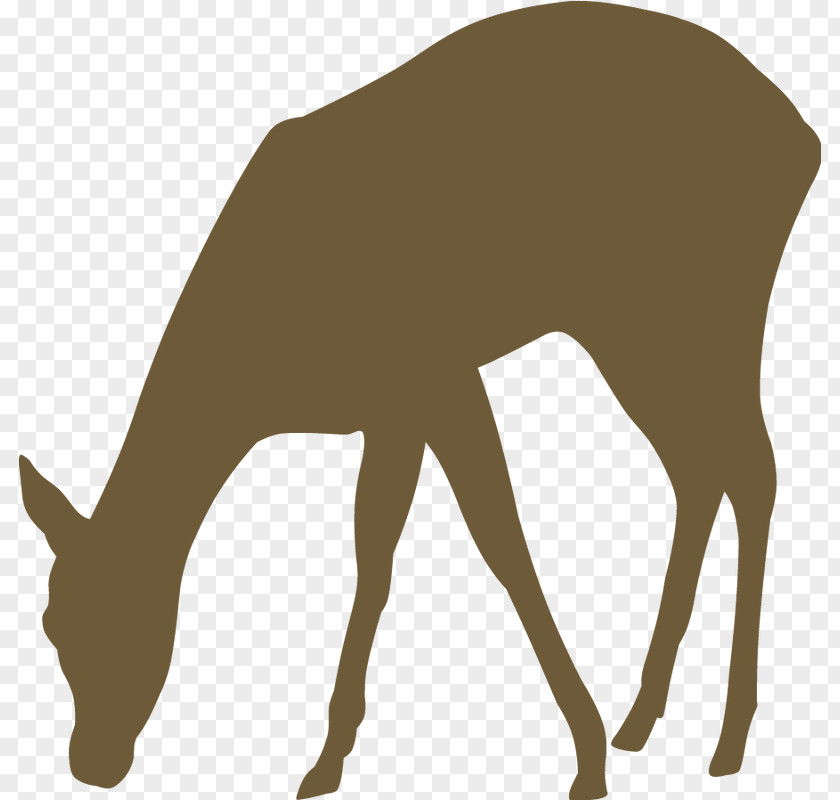 Reindeer Decal Sticker Car PNG