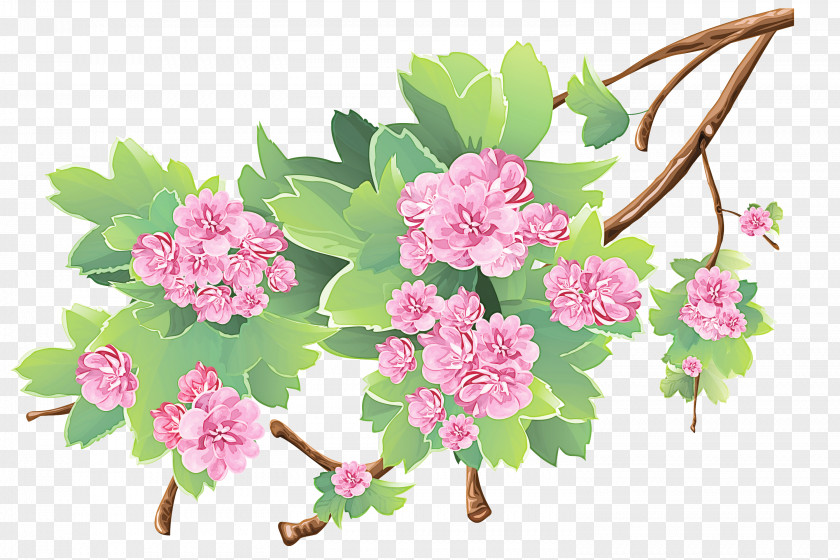 Spring Blossom Flower Pink Plant Branch Cut Flowers PNG