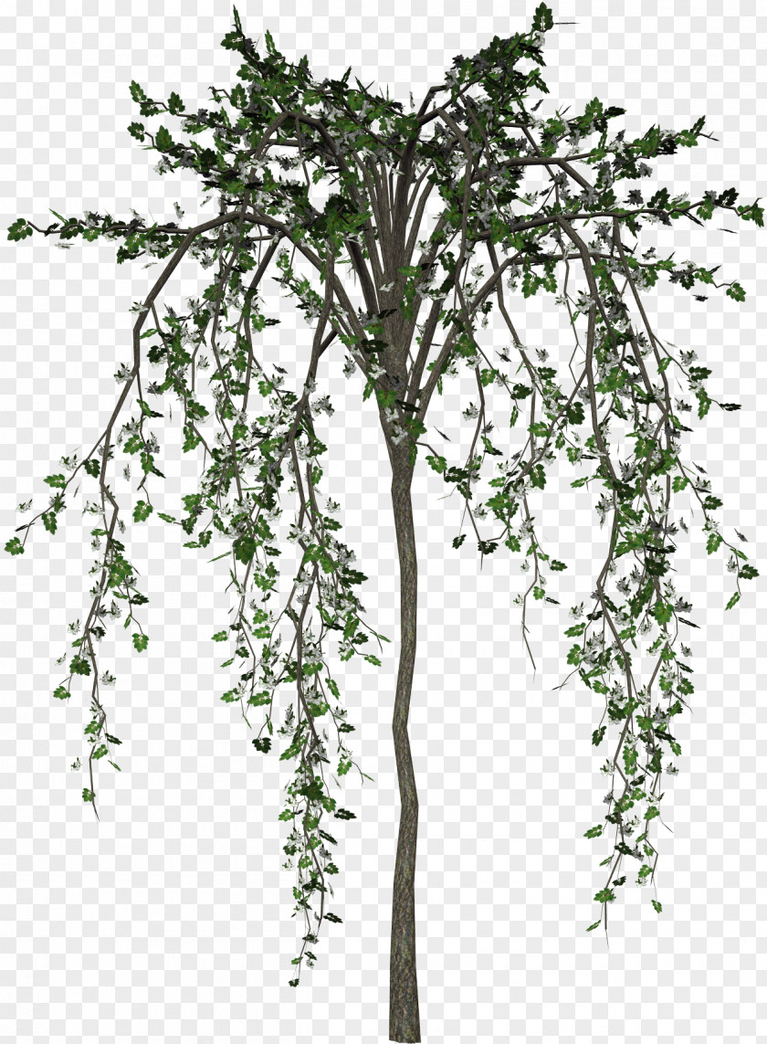 Tree Flower Plant Clip Art PNG