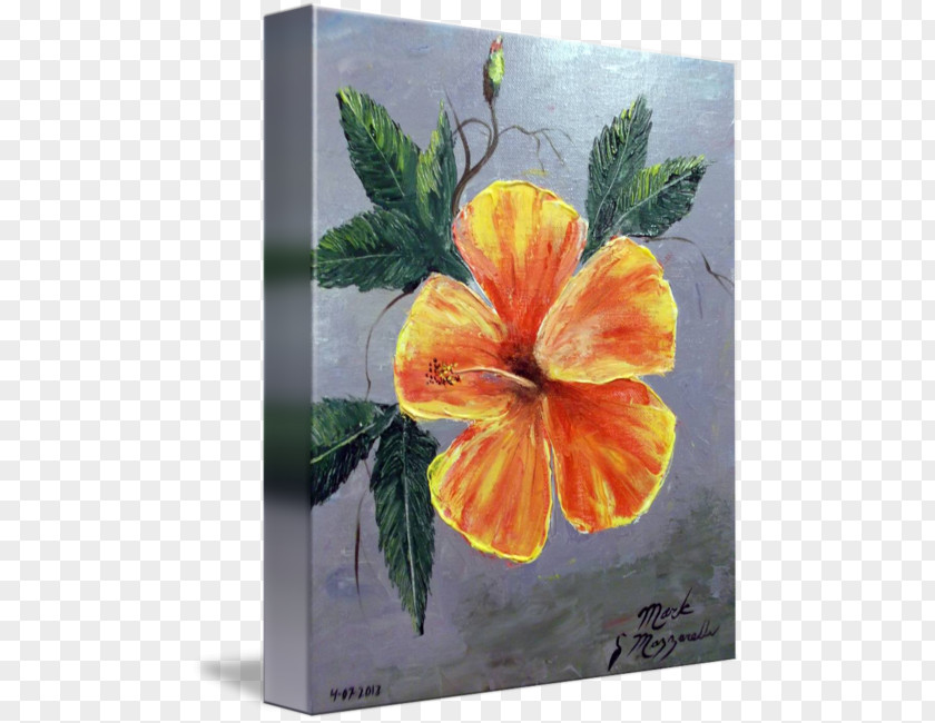 Watercolor Hibiscus Rosemallows Painting Yellow PNG