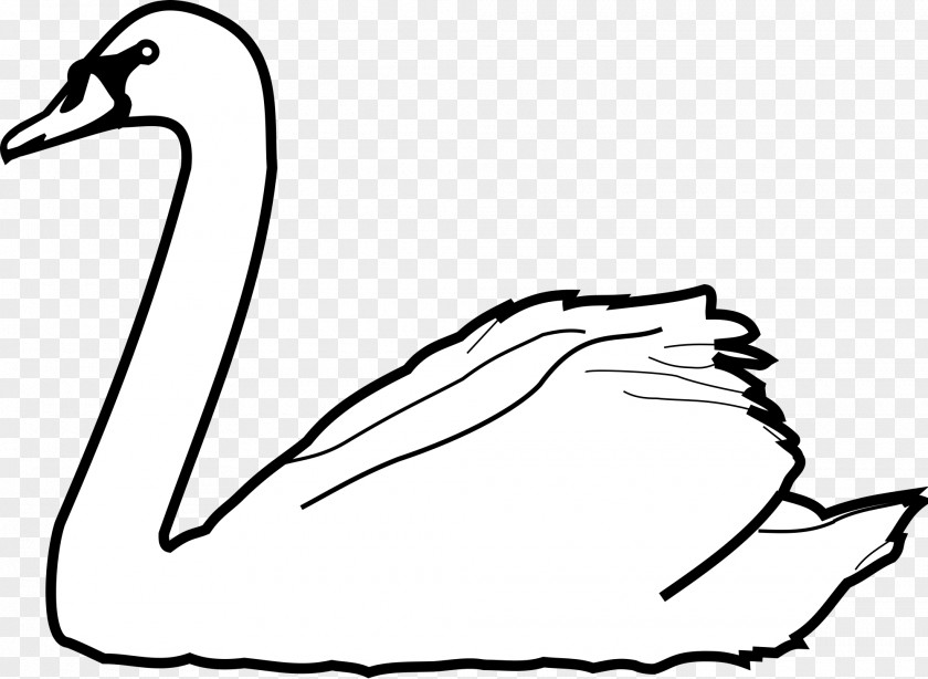 Swan Goose Tundra Clip Art PNG