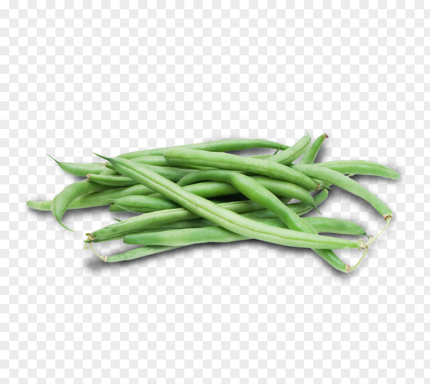 Vegetable Green Bean Common Lima PNG