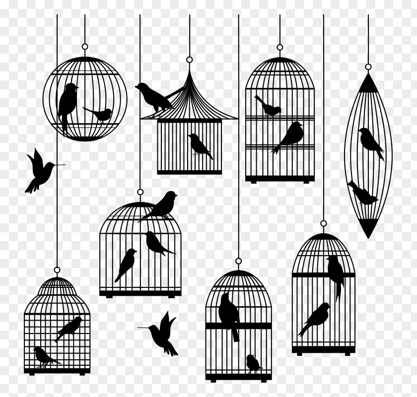 Birdcage Clip Art PNG