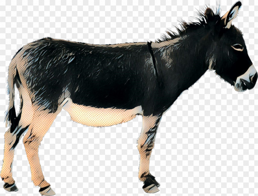 Cattle Mustang Donkey Pack Animal Fur PNG