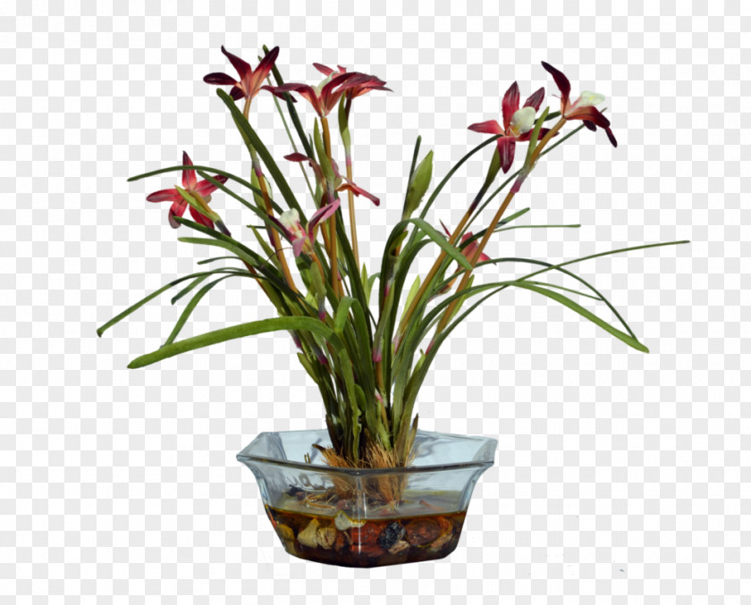 Flower Arrangement Plant Floral Design Alternanthera Sessilis PNG
