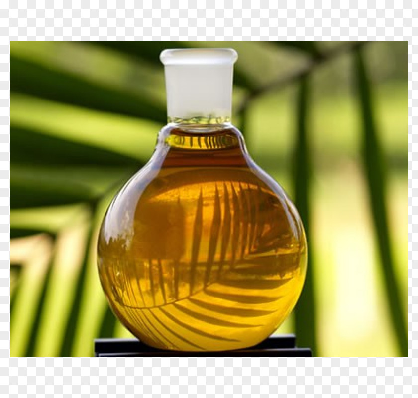 Oil Palm Kernel Cooking Oils PNG