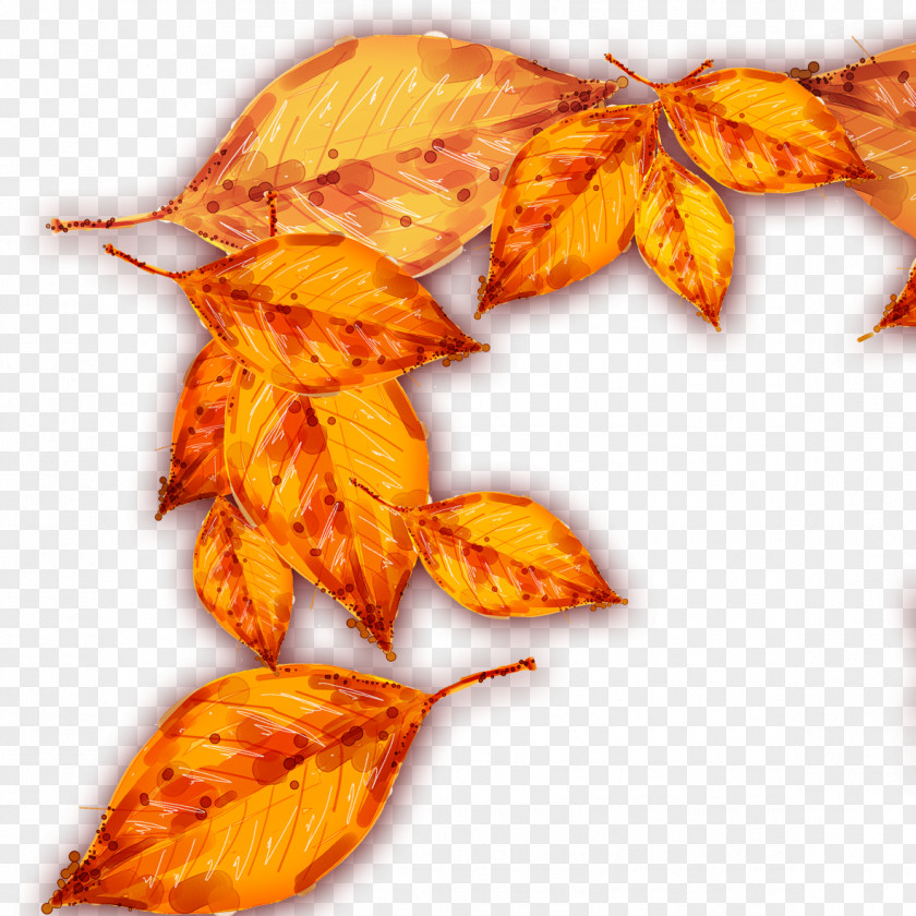 Autumn Leaves Material Deciduous Leaf PNG