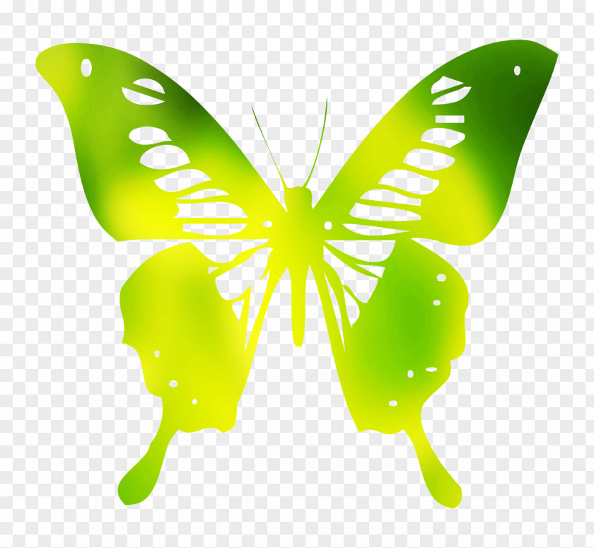 Brush-footed Butterflies Butterfly Graphics Animal Wall Decal PNG