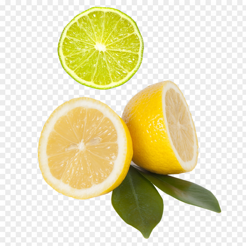 Lemon Juice Gin Sour Mandarin Orange PNG