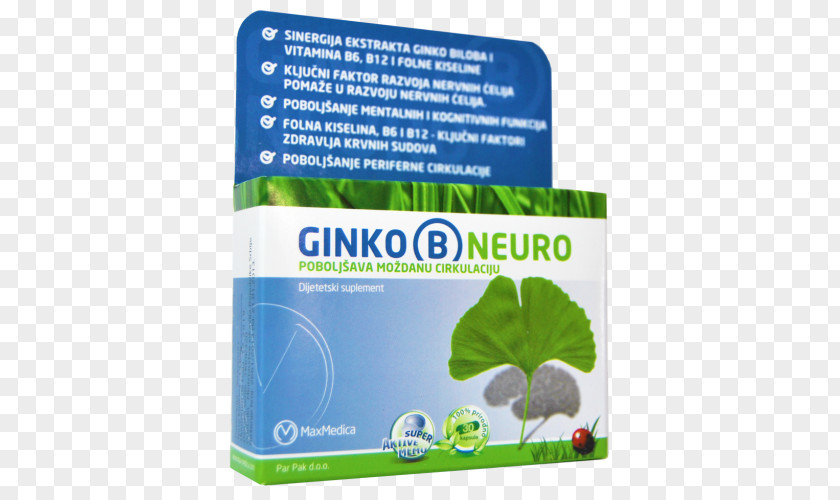 Ginko Ginkgo Biloba Dietary Supplement Neurology Headache Vitamin B-12 PNG