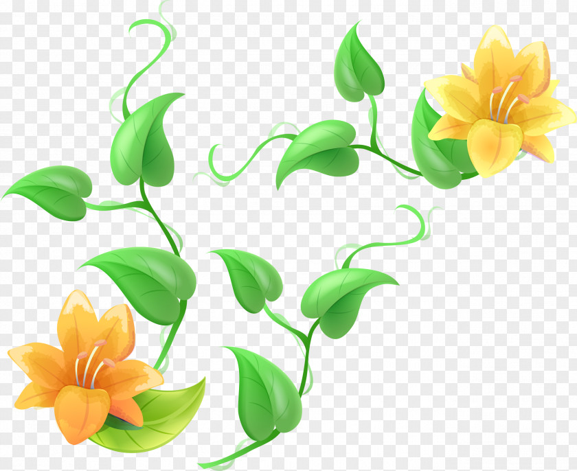Hand-painted Lily Lilium Flower Clip Art PNG