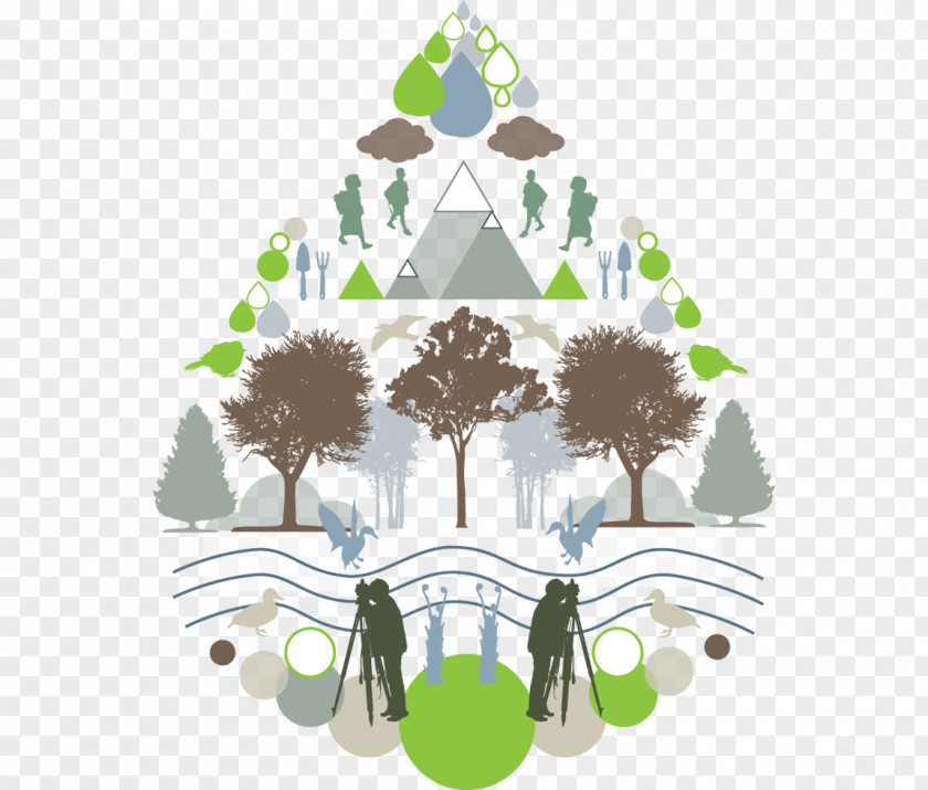Logo Arch Green Leaf PNG