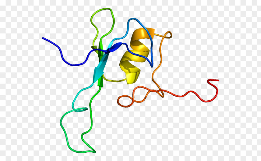 MBD1 MECP2 Wikipedia Methyl-CpG-binding Domain Methylation PNG