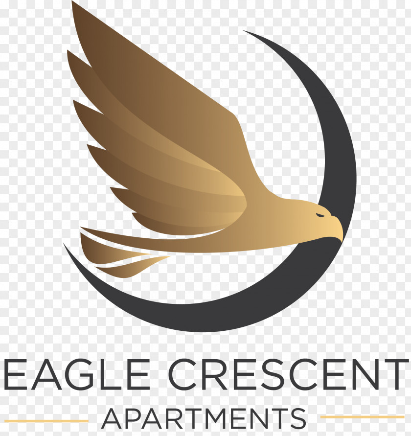 Rental Homes Luxury Beak Logo Clip Art Bird Brand PNG