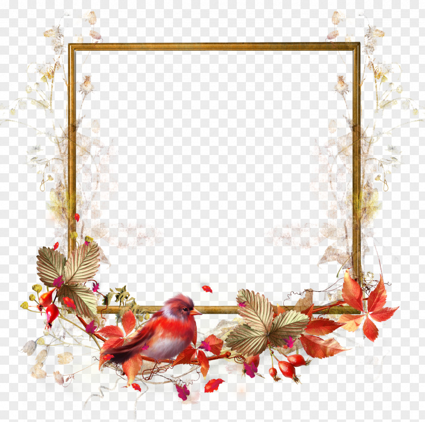 Mirror Picture Frames Flower Clip Art PNG