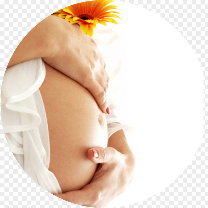 Pregnant Woman Pregnancy Therapy Childbirth Health Care Medicine PNG