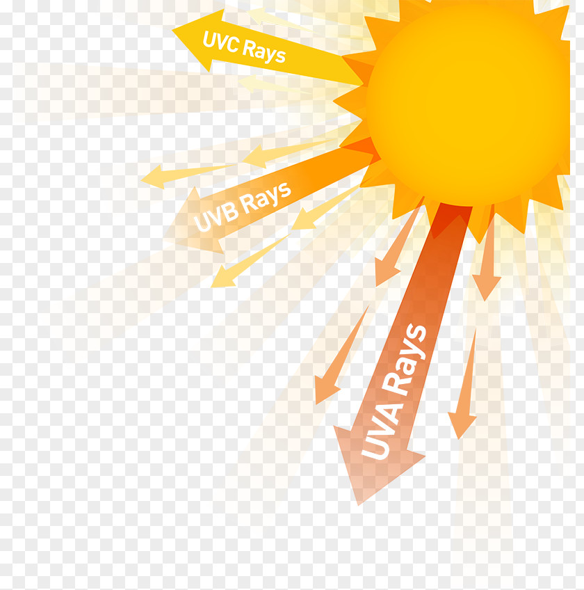 Skin Cancer Health Effects Of Sunlight Exposure Ultraviolet Radiation PNG