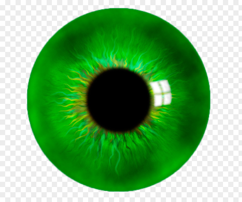Green Close-up Eyelash PNG