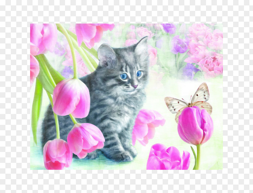 Tulip Material Kitten Jigsaw Puzzles Whiskers Cat PNG