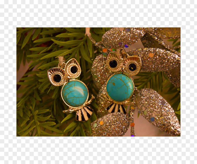 9k31 Strela1 Turquoise Serpentine Subgroup Aquamarine Jewellery Owl PNG