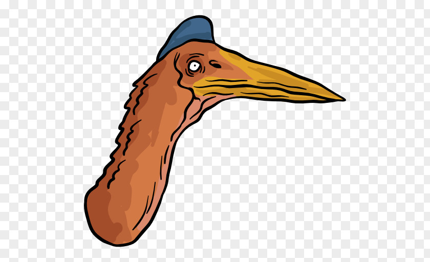 Bird Beak Water Cartoon Clip Art PNG