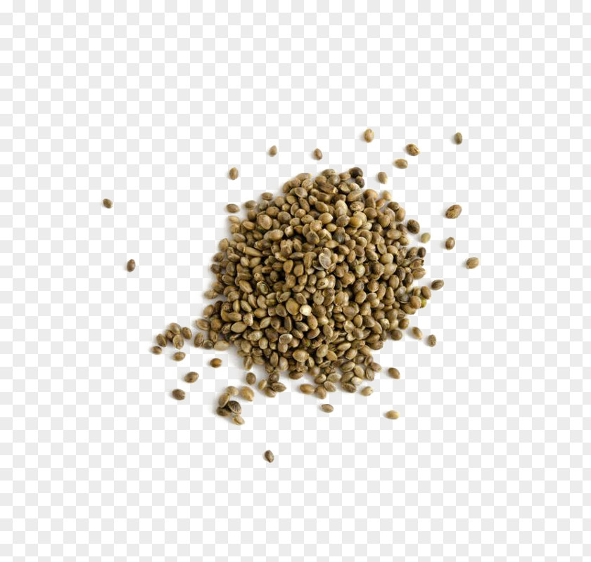 Cannabis Sativa Hemp Oil Seed PNG