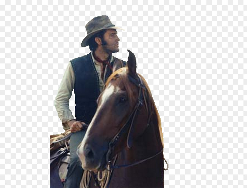 Elvis Presley Graceland Western Television Film PNG